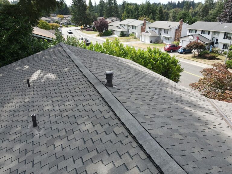 Roof details · A closer look