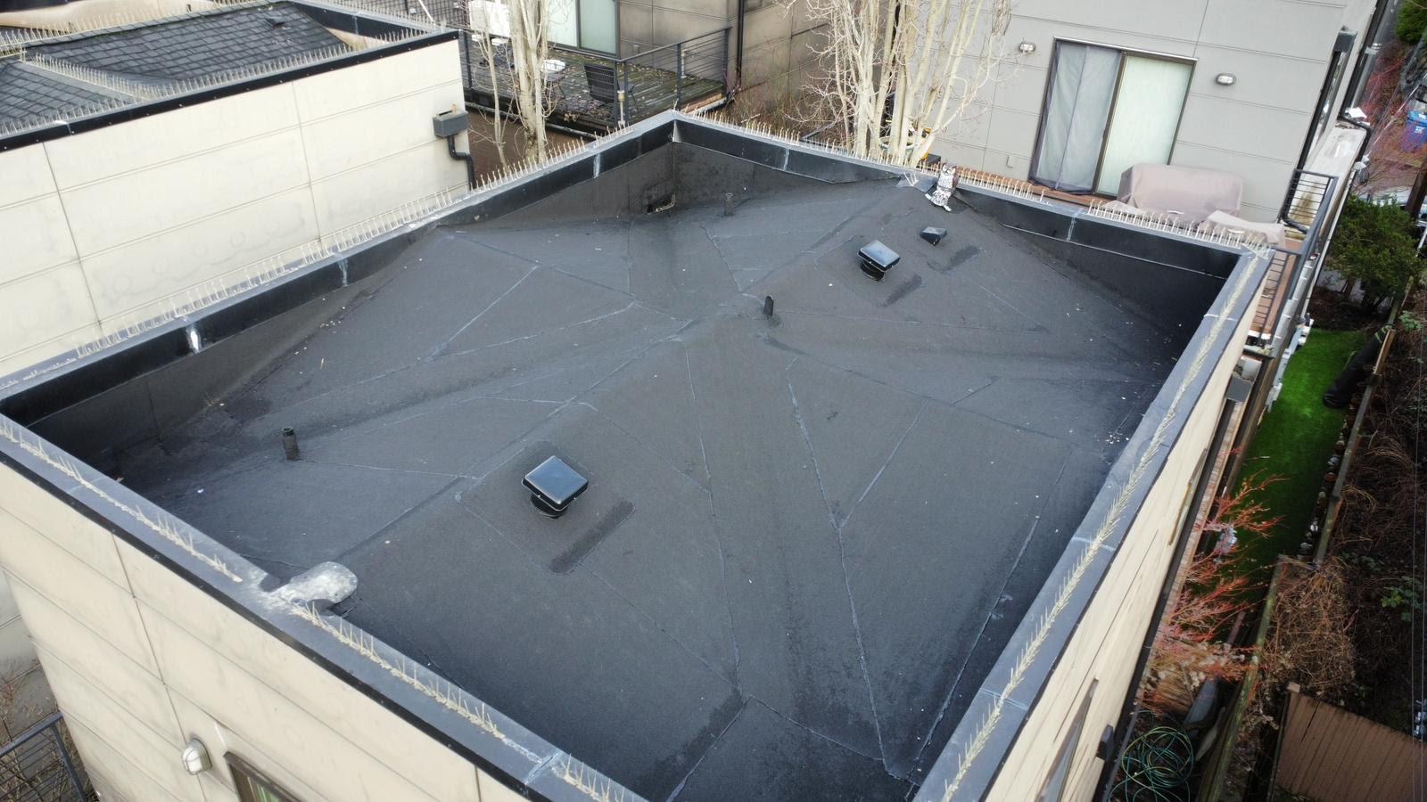 Roof surface and roofing detail
