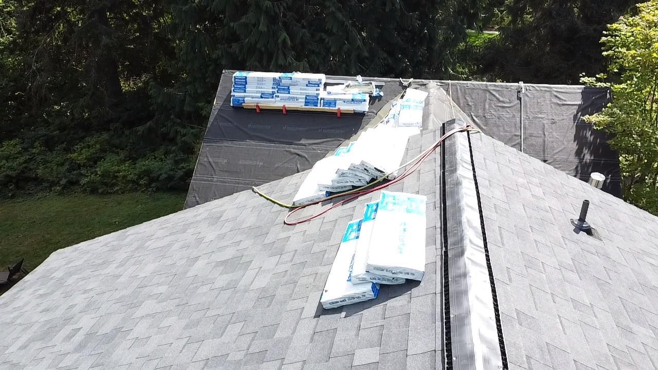 Roof surface and roofing detail